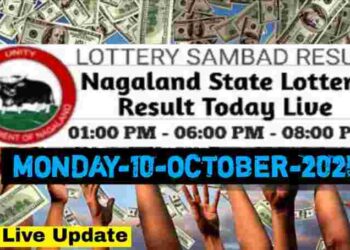 Nagaland state Lottery 10.11.2025