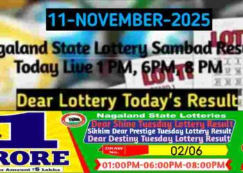 Lottery sambad Result 11.11.2025