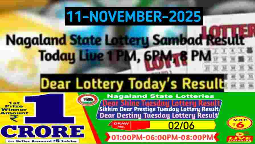 Lottery sambad Result 11.11.2025