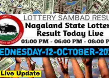 Nagaland state Lottery 12.11.2025