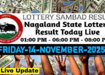 Nagaland state Lottery 14.11.2025