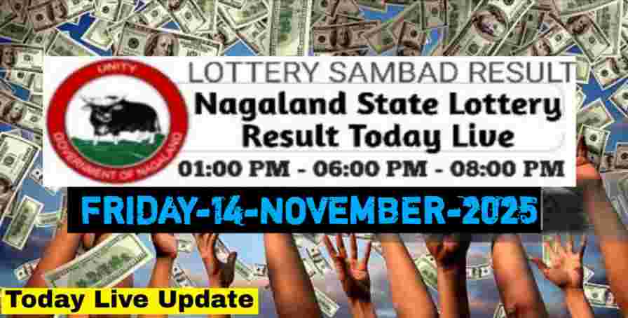 Nagaland state Lottery 14.11.2025