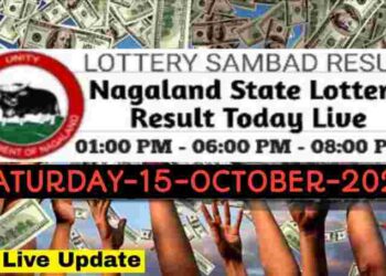 Nagaland state Lottery 15.11.2025