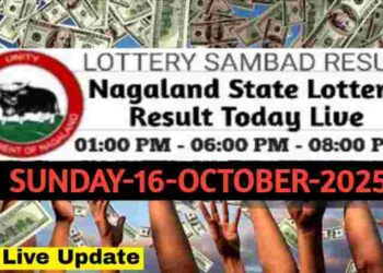Nagaland state Lottery 16.11.2025
