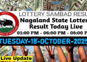 Nagaland state Lottery 18.11.2025