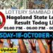 Nagaland state Lottery 18.11.2025