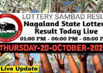 Nagaland state Lottery 20.11.2025