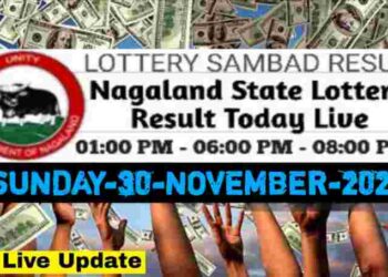 Nagaland state Lottery 30.11.2025