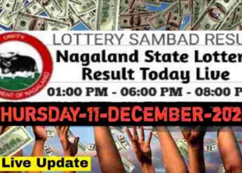 Nagaland state Lottery 11.12.2025