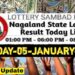 Nagaland state Lottery 05.01.2026