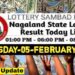 Nagaland state Lottery 05.02.2026