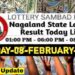 Nagaland state Lottery 08.02.2026