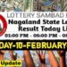 Nagaland state Lottery 10.02.2026