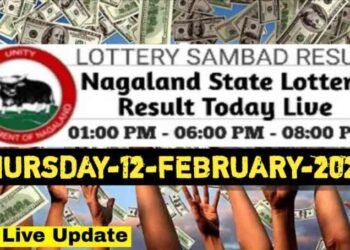 Nagaland state Lottery 12.02.2026