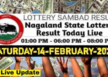 Nagaland state Lottery 14.02.2026