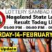 Nagaland state Lottery 14.02.2026