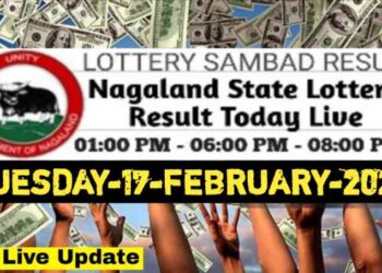 Nagaland state Lottery 17.02.2026