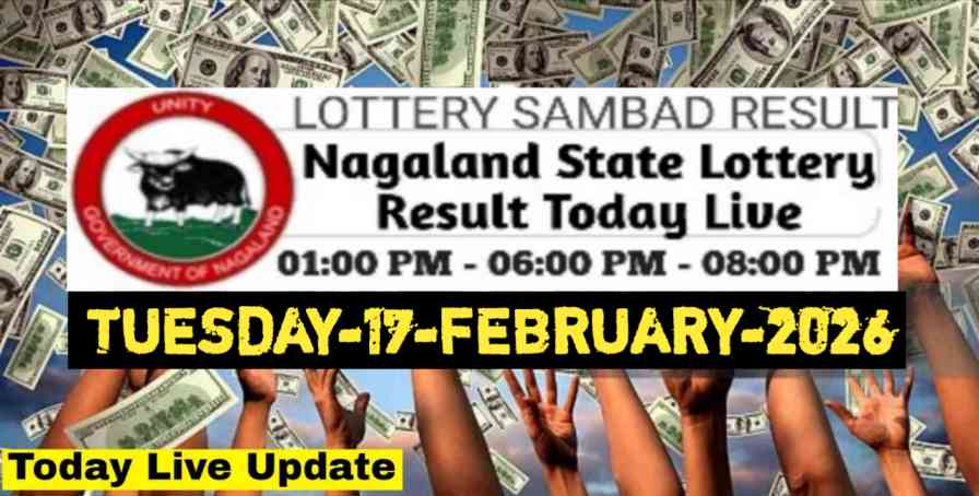 Nagaland state Lottery 17.02.2026