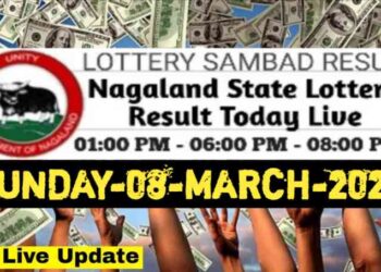 Nagaland state Lottery 08.03.2026