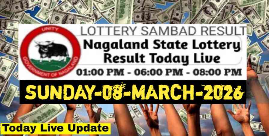 Nagaland state Lottery 08.03.2026
