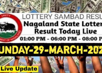 Nagaland state Lottery 29.03.2026
