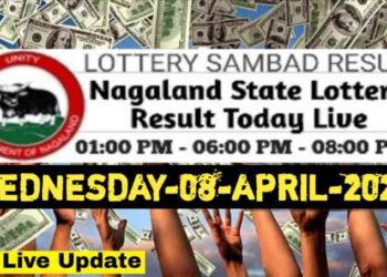 Nagaland state Lottery 08.04.2026