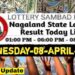 Nagaland state Lottery 08.04.2026