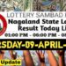 Nagaland state Lottery 09.04.2026
