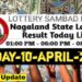 Nagaland state Lottery 10.04.2026