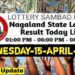 Nagaland state Lottery 15.04.2026