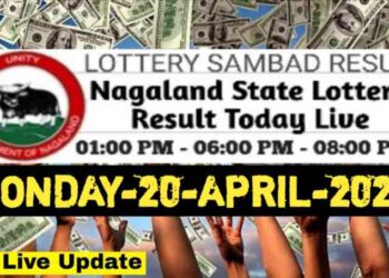 Nagaland state Lottery 20.06.2026
