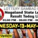 Nagaland state Lottery 13.06.2026