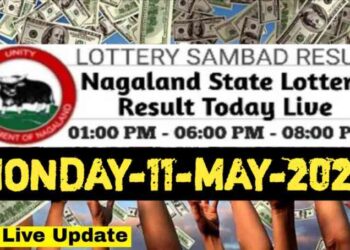 Nagaland state lottery 11.05.2026