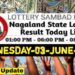 Nagaland state Lottery 03.06.2026