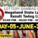 Nagaland state Lottery 05.06.2026