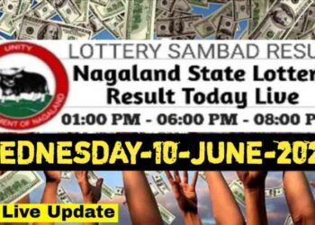 Nagaland state Lottery 10.06.2026