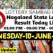 Nagaland state Lottery 10.06.2026