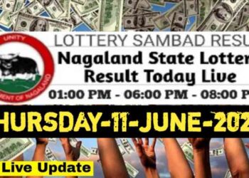 Nagaland state Lottery 11.06.2026