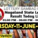Nagaland state Lottery 11.06.2026