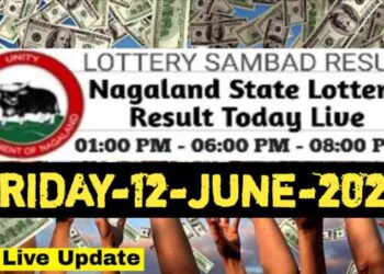 Nagaland state Lottery 12.06.2026