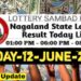 Nagaland state Lottery 12.06.2026