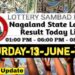 Nagaland state Lottery 13.06.2026