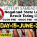 Nagaland state Lottery 15.06.2026