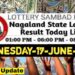 Nagaland state Lottery 17.06.2026