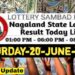 Nagaland state Lottery 20.06.2026