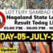 Nagaland state Lottery 05.07.2026
