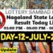 Nagaland state Lottery 12.07.2026