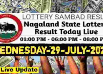 Nagaland state Lottery 29.07.2026