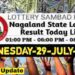 Nagaland state Lottery 29.07.2026