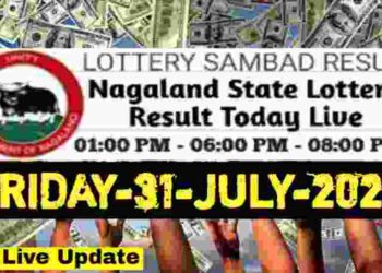 Nagaland state Lottery 31.07.2026